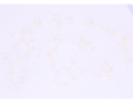 myh192725-3a_2D_0002_large.png