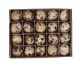 15887_2D_0001_large.png