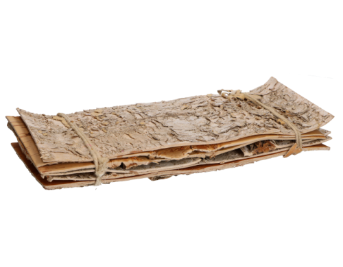 platy_kory_216-041_2D_0002_large.png