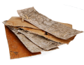 platy_kory_216-041_2D_0003_large.png