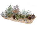 platy_kory_216-041_2D_0009_large.png
