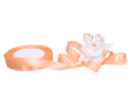 myh190453_2D_0002_large.png