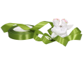 myh190450_2D_0002_large.png