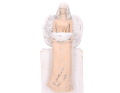 aniol023-13_2D_0001_large.png