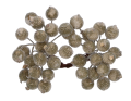 myh197590_2D_0001_large.png