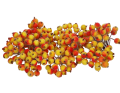 myh197591-5_2D_0002_large.png
