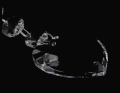 serce_krysztal_myh192577_2D_0002_large.png