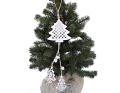 MYH194143_2D_0002_large.png
