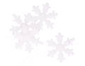 img_2D_0002_large.png