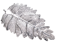 img_2D_0001_large.png