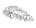 img_2D_0002_large.png