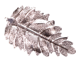 img_2D_0001_large.png