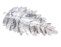 img_2D_0002_large.png