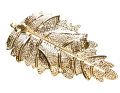 img_2D_0002_large.png