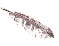 img_2D_0002_large.png