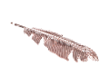 img_2D_0001_large.png