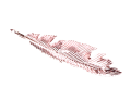 img_2D_0002_large.png