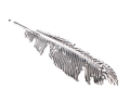 img_2D_0001_large.png
