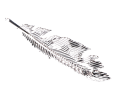 img_2D_0002_large.png
