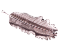 img_2D_0001_large.png