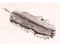 img_2D_0003_large.png