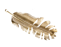 img_2D_0001_large.png