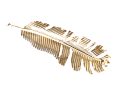 img_2D_0002_large.png
