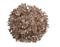 myh194167zlotoo_2D_0008_large.png