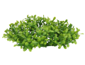 19621_2D_0001_large.png