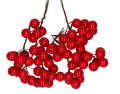 myh194133-7_2d_0001.png
