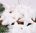 myh192979-1_gwiazdki_bialy_2d_0005.png