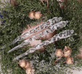 MYH194187_2d_0018.png