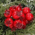 Głóg na druciku czerwony 15mm owoce kulki dekoracyjny 72szt.