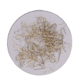 233.990_2d_0006.png