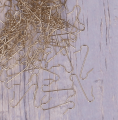 233.990_2d_0007.png