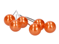 artykuły florystyczne_0012.png