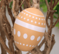 17s0855_2d_0009.png