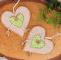 serdduszka_shy-F5180gL_zielone_2d_0003.png