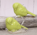 23794_0009.png