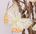 354.040_0005.png