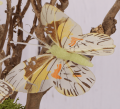 354.040_0006.png