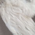 20210326_104917.jpg