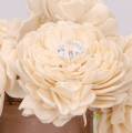 myh192804 new_0002.png