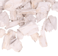 50639_0004-removebg-preview.png