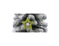 piki_246-012_zielone_przecierane_2D_0003_large.png