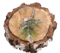 MYH477541_2d_0002.png