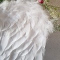 20211026_084819.jpg