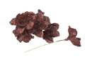 227.651_0012-removebg-preview.png