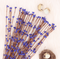 MYH192907 GRANAT_0001.png