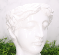 25131_0003.png